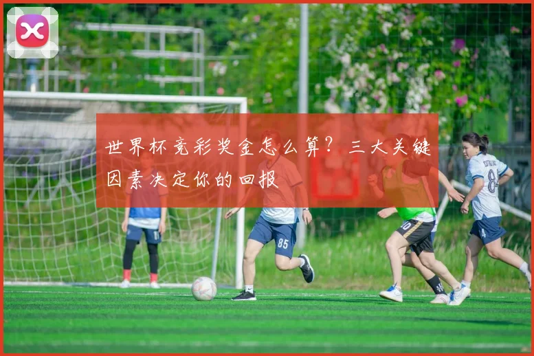 世界杯竞彩奖金怎么算？三大关键因素决定你的回报