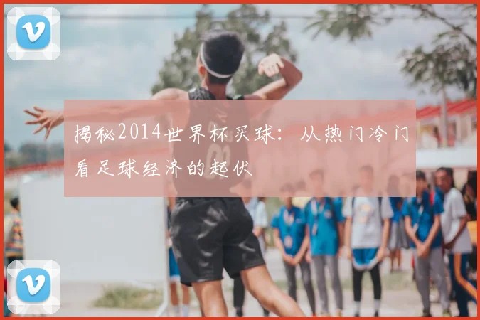 揭秘2014世界杯买球：从热门冷门看足球经济的起伏