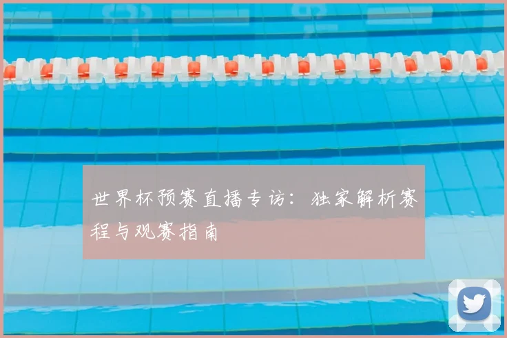世界杯预赛直播专访：独家解析赛程与观赛指南