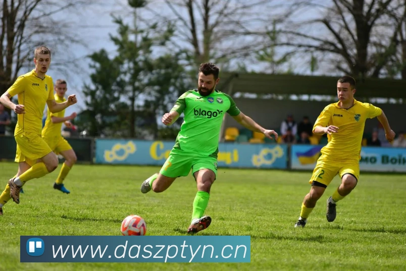 mk国际体育平台生态图